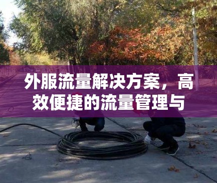 外服流量解决方案,高效便捷的流量管理与安全防护 外服流量解决方案,高效便捷的流量管理与安全防护