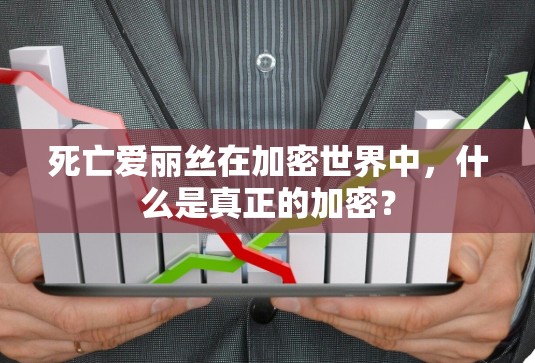 死亡爱丽丝在加密世界中,什么是真正的加密? 死亡爱丽丝在加密世界中,什么是真正的加密?