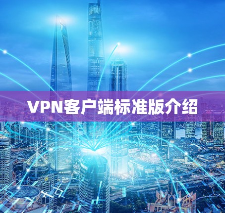 VPN客户端标准版介绍