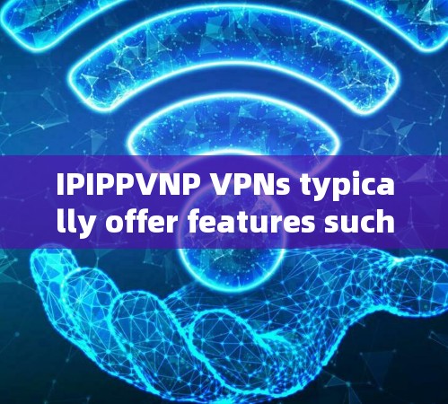 IPIPPVNP VPNs typically offer features such as: