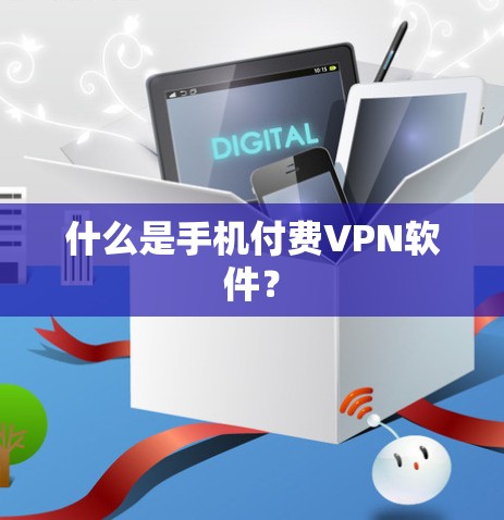 什么是手机付费VPN软件？