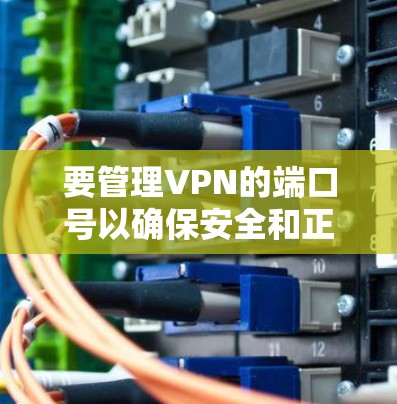 要管理VPN的端口号以确保安全和正确性，以下是一个详细的指南