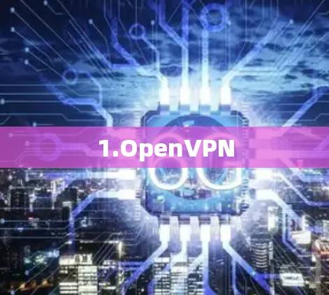 1.OpenVPN