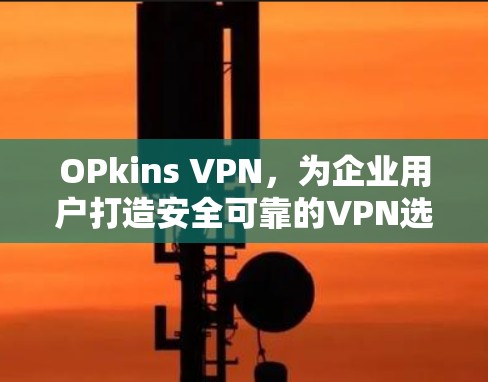 OPkins VPN，为企业用户打造安全可靠的VPN选择