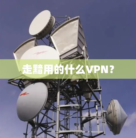 走黯用的什么VPN？