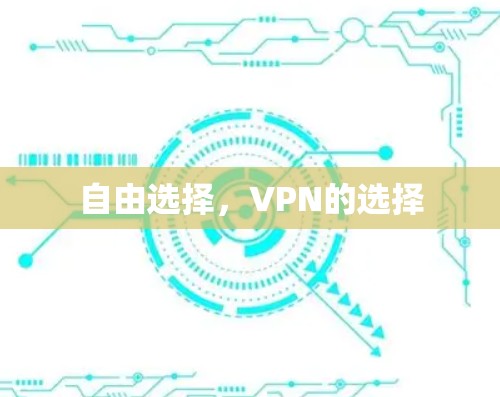 自由选择，VPN的选择