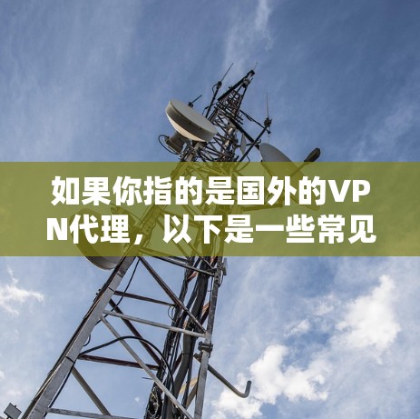如果你指的是国外的VPN代理，以下是一些常见的VPN服务类型和使用方法