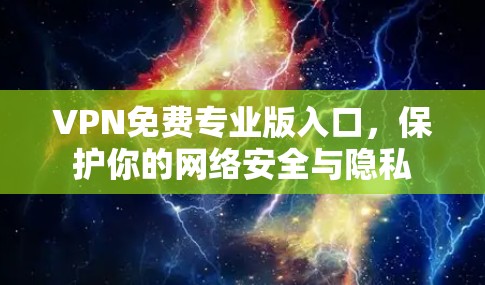 VPN免费专业版入口，保护你的网络安全与隐私