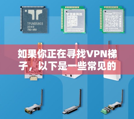 如果你正在寻找VPN梯子，以下是一些常见的VPN平台，这些平台支持梯子登录