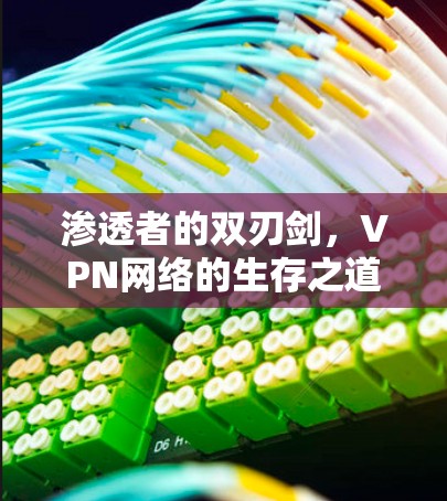 渗透者的双刃剑，VPN网络的生存之道