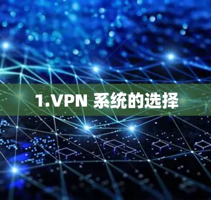 1.VPN 系统的选择