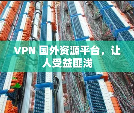 VPN 国外资源平台，让人受益匪浅