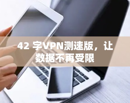 42 字VPN测速版，让数据不再受限
