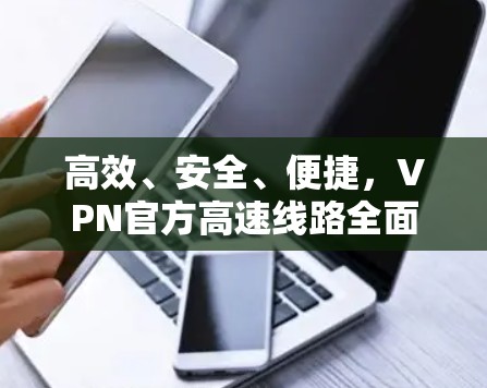高效、安全、便捷，VPN官方高速线路全面解析