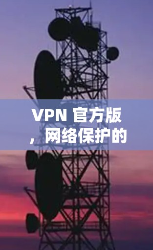 VPN 官方版，网络保护的终极武器