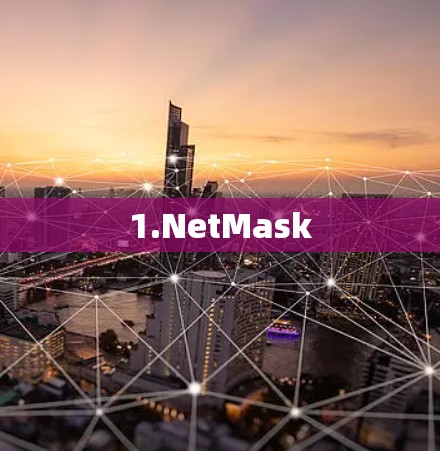 1.NetMask