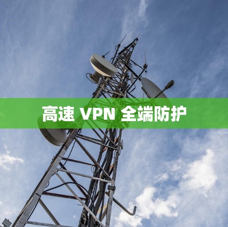 高速 VPN 全端防护