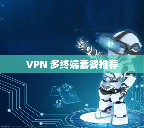 VPN 多终端套餐推荐