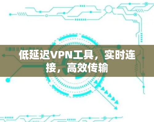 低延迟VPN工具，实时连接，高效传输