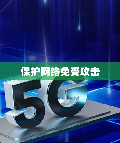 保护网络免受攻击