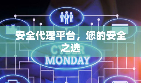 安全代理平台，您的安全之选