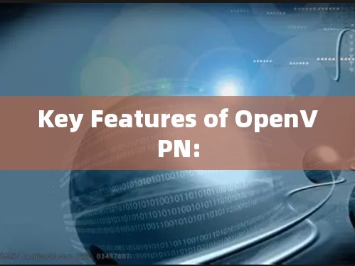Key Features of OpenVPN: Key Features of OpenVPN: