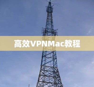 高效VPNMac教程