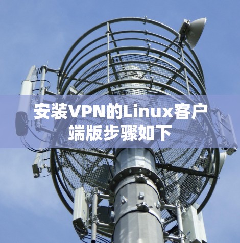 安装VPN的Linux客户端版步骤如下