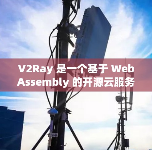 V2Ray 是一个基于 WebAssembly 的开源云服务，用于云应用开发和部署。如果您的用户正在使用 V2Ray 并希望测试其在云服务器上的连接性，以下是基本的步骤和建议