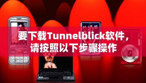 要下载Tunnelblick软件，请按照以下步骤操作