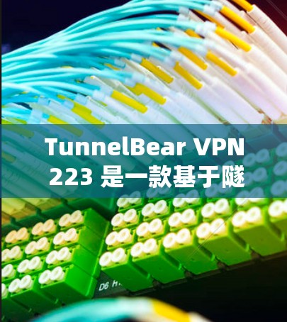TunnelBear VPN 223 是一款基于隧道协议的VPN应用程序，旨在为用户提供高效、安全的远程访问网络体验。以下是基于提供的信息总结的详细内容