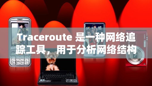 Traceroute 是一种网络追踪工具，用于分析网络结构和路径。以下是使用 Traceroute 进行节点追踪的步骤和注意事项
