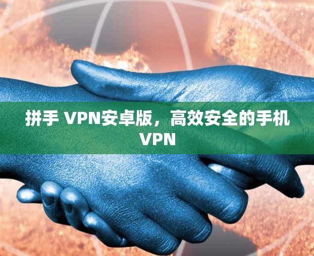 拼手 VPN安卓版，高效安全的手机VPN