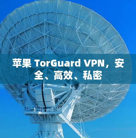 苹果 TorGuard VPN，安全、高效、私密