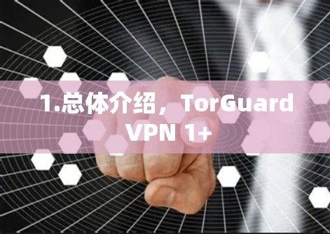 1.总体介绍，TorGuard VPN 1+