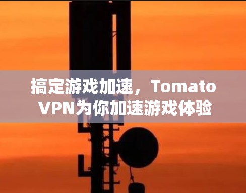 搞定游戏加速，Tomato VPN为你加速游戏体验