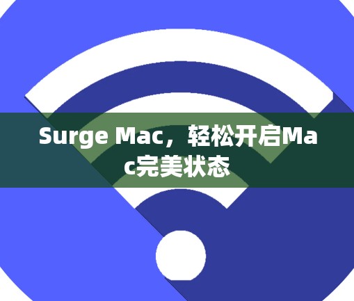 Surge Mac，轻松开启Mac完美状态