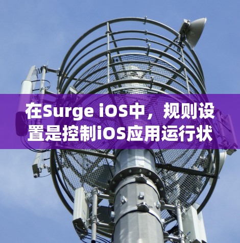在Surge iOS中，规则设置是控制iOS应用运行状态和权限的重要部分，旨在提供灵活和安全的管理选项。以下是对Surge iOS规则设置的详细总结和步骤说明