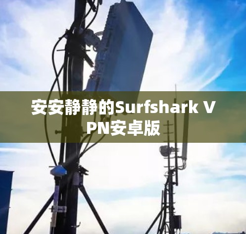 安安静静的Surfshark VPN安卓版