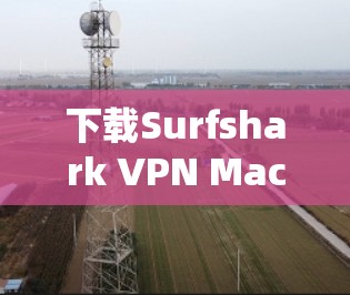 下载Surfshark VPN Mac客户端的步骤如下