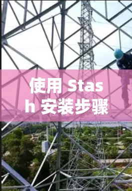 使用 Stash 安装步骤如下 使用 Stash 安装步骤如下