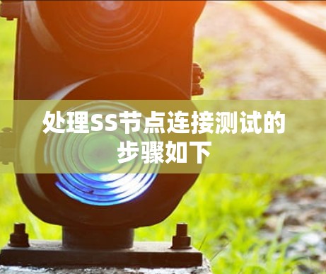 处理SS节点连接测试的步骤如下 处理SS节点连接测试的步骤如下