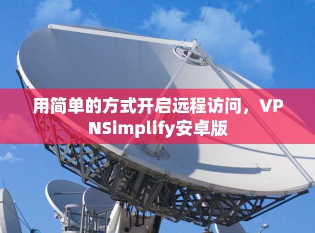 用简单的方式开启远程访问,VPNSimplify安卓版 用简单的方式开启远程访问,VPNSimplify安卓版