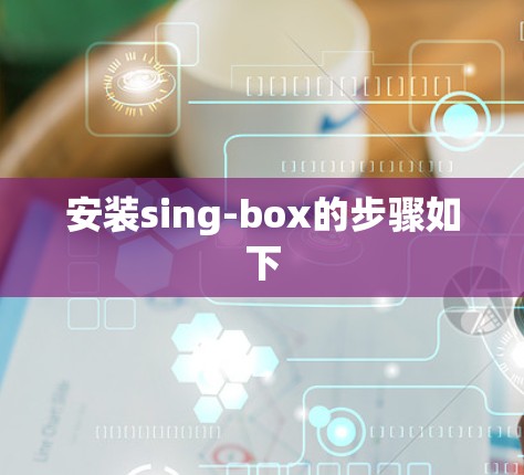 安装sing-box的步骤如下 安装sing-box的步骤如下
