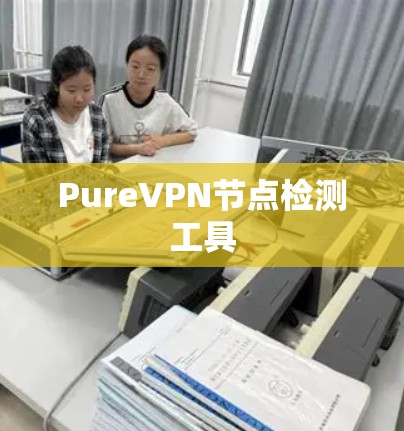 PureVPN节点检测工具 PureVPN节点检测工具