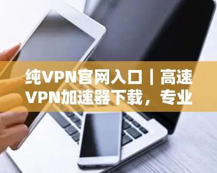 纯VPN官网入口｜高速VPN加速器下载，专业人士推荐